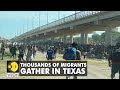 US immigration: Thousands gather under a bridge at US-Mexico border| Latest English News | WION News