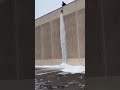 SATISFYINGG                        (Viral Monkey) #satisfying #satisfyingvideo #viral