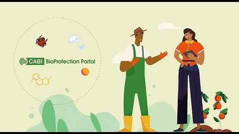 What is the CABI BioProtection Portal?