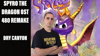 Spyro The Dragon OST 480 Remake - Dry Canyon Resimi