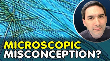 Cyanobacteria vs. Algae: What’s Really Under the Microscope?