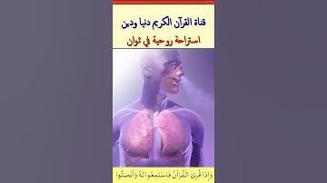 تلاوة نادرة بخشوع لآيات عطرة من سورة القيامة بصوت ملائكي الشيخ عبدالله كامل