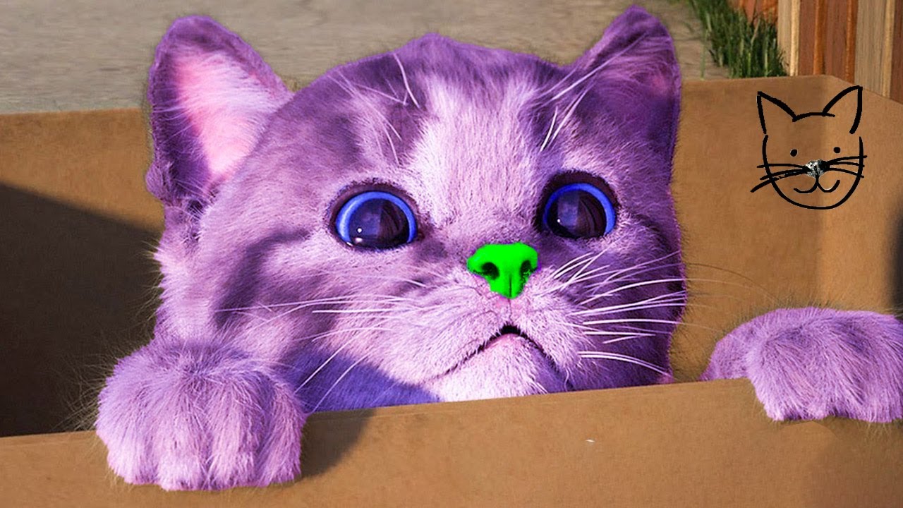 LITTLE KITTEN ADVENTURE - CUTE FAVORITE CAT AND ANIMALS ON AN ADVENTUROUS JOURNEY - CARTOON VIDEO