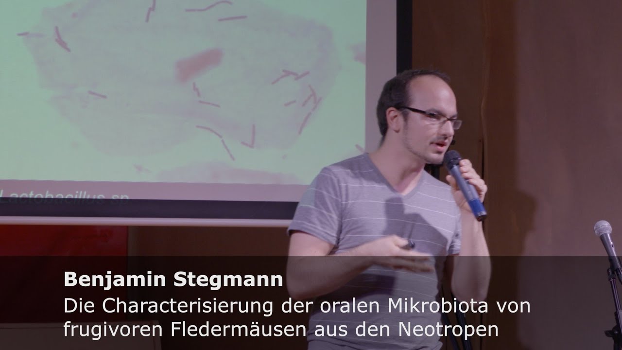 Orale Mikrobiota von Fledermäusen - Benjamin Stegmann - Science Slam