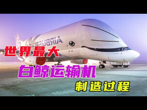 长相酷似白鲸的运输机，货仓容积1400立方米，机头有三层楼高