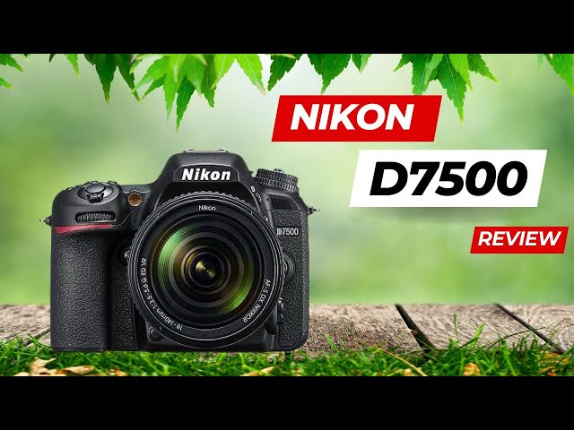 Nikon D7500 Review