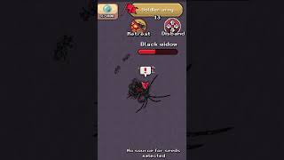 Black Widow Spider Pocket ants