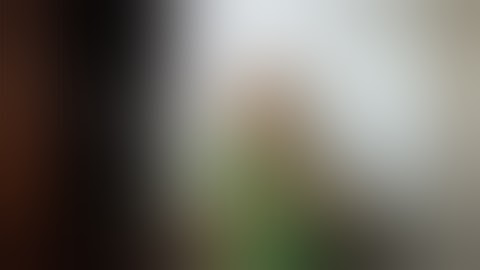 What Is The Autoship With Numis Network?