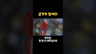 위대한 일은 힘이 아니라 끈기로 이루어진다. - 새뮤얼 존슨 | #끈기 #근성 #인내 #새뮤얼존슨 #동기부여 #멘탈