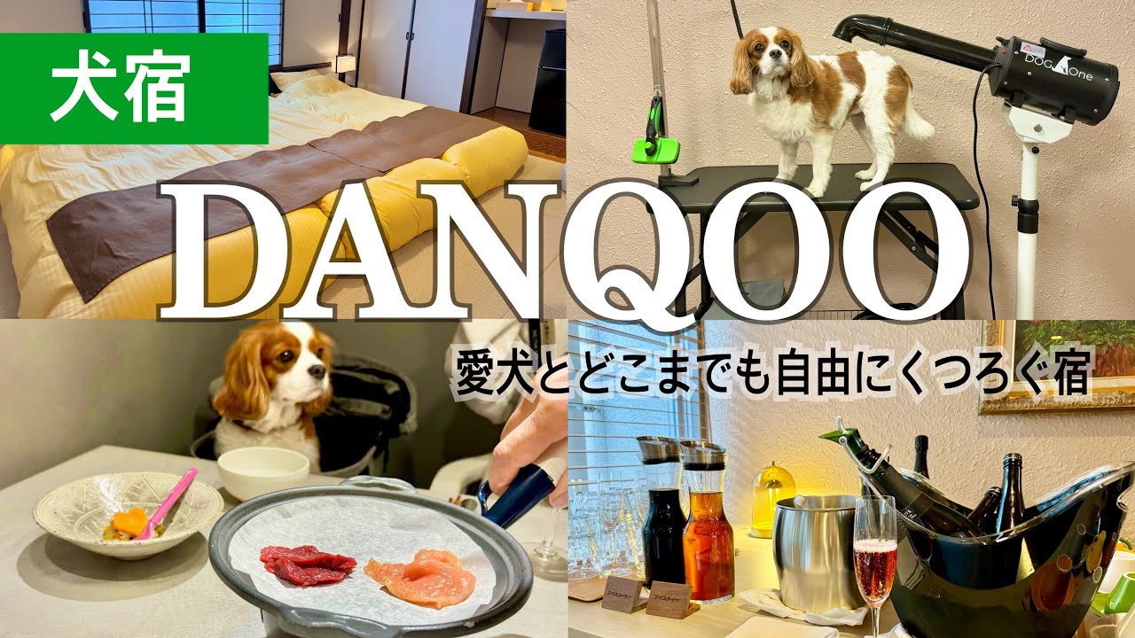 温泉&焚火！愛犬と自由に寛げる宿【DANQOO】千葉県鋸南町
