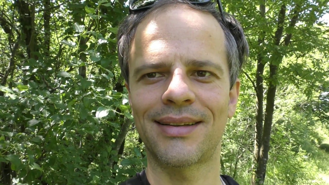 6 HOW CAN QIGONG HELP WITH DEPRESSION YouTube