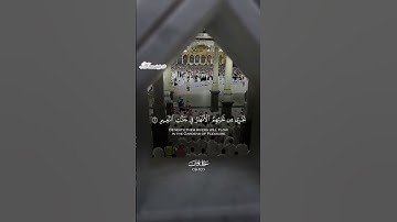 ما أروعه من تحبير | تلاوة للشيخ د. ماهر المعيقلي من سورة يونس تراويح ليلة ١٤ رمضان ١٤٤٦ه‍ـ