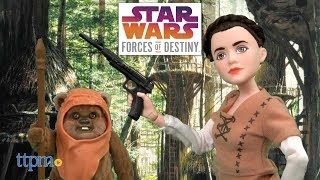 Star Wars Forces of Destiny Endor Adventure Princess Leia and Wicket the Ewok 
