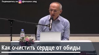 Торсунов О.Г.  Как очистить сердце от обиды