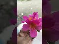 স্বপ্ন কারো সাথে শেয়ার করবেন না #highlight #mizanur Rahman azhari waz #YouTube short