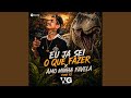 EU JA SEI O QUE FAZER x AMO MINHA FAVELA FUNK RJ