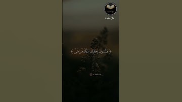 سورة الضحى بصوت القارئ علي حسين #قرآن_الكريم #سورة_الضحي #علي_حسين