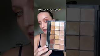 Emergency Foundation Or Concealer Palette - Rcma