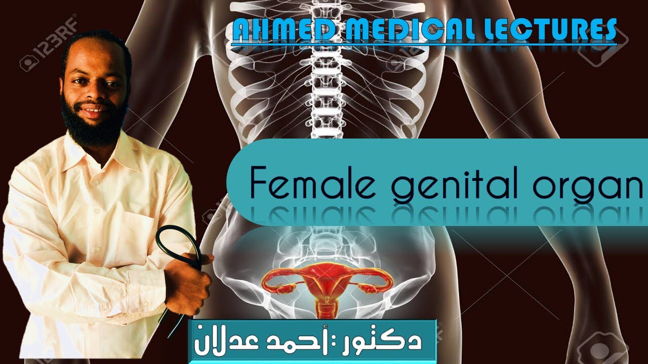 Female genital Organ الجهاز التناسلي للأنثى