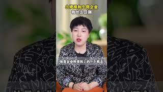 小规模和小微企业有什么区别? #财税 #老板 #企业管理