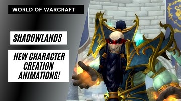 New WoW Shadowlands Class Animations