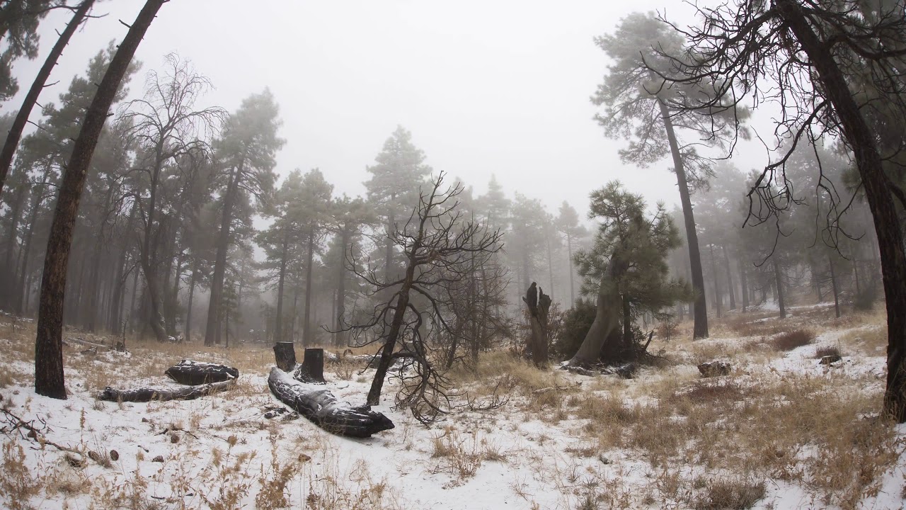 Mount Laguna Snowstorm Timelapse at Morris Ranch Road - YouTube