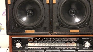 13 апреля 2021 г.