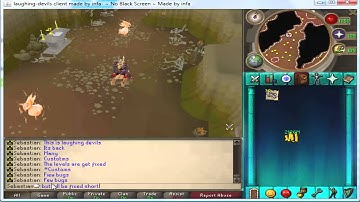 New Runescape Private Server