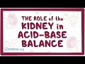 The role of the kidney in acid-base balance - renal physiology