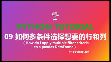 09 how do I apply multiple filter criteria to a pandas dataframe