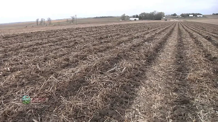 Potassium #769 (Air Date 1/6/13)