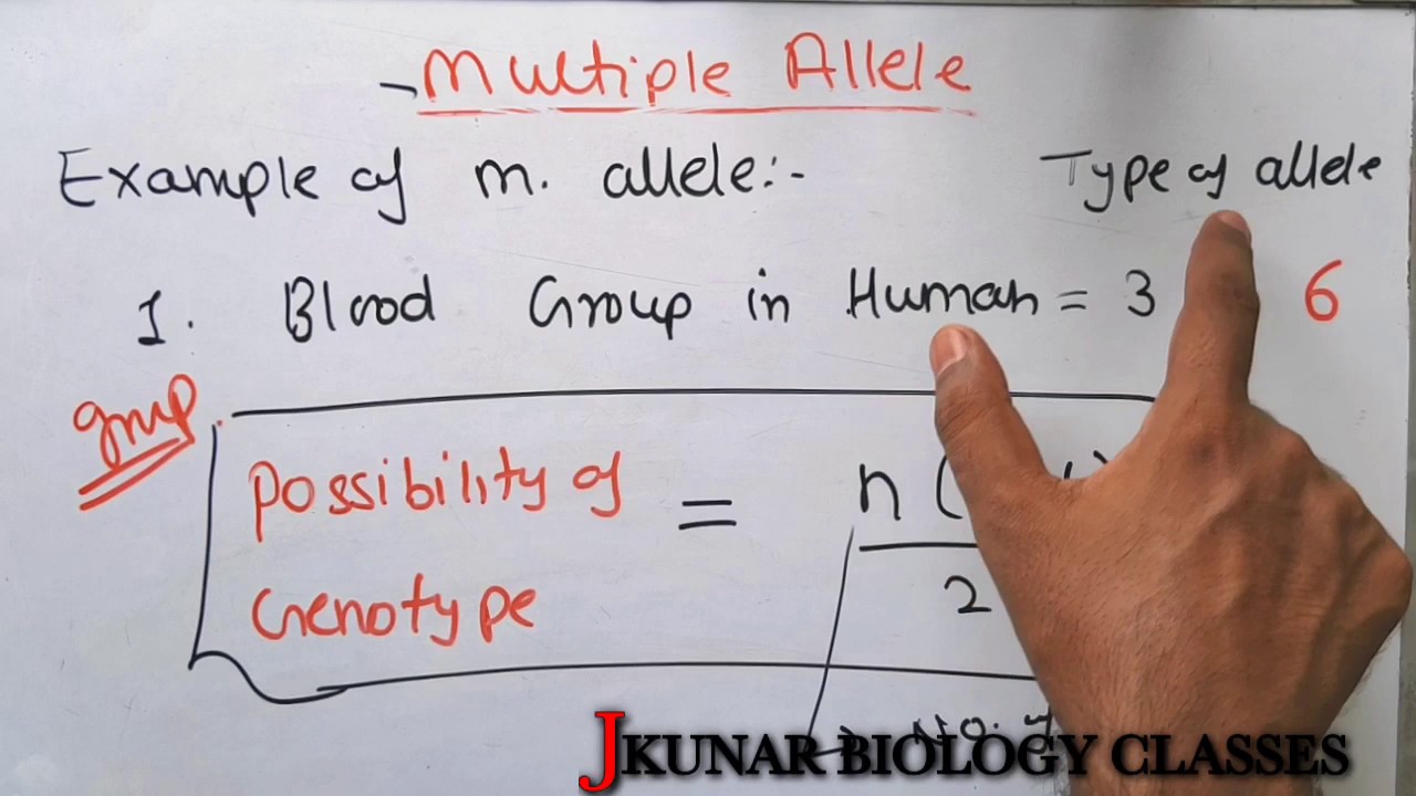 Multiple Allele | Example Of Multiple Allele | Blood Group In Human