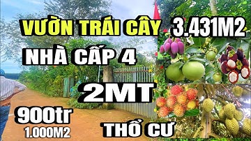 Cô hương kẹt tiền, bán gấp nhà vườn, đủ loại trái cây, thổ cư, tại Cẩm Mỹ, Đồng Nai