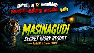 Masinakudi | Horror Night Secret Ivory Resort | Tiger territory🐅🐻🐘🦌