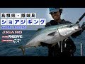 隠岐島ショアジギング