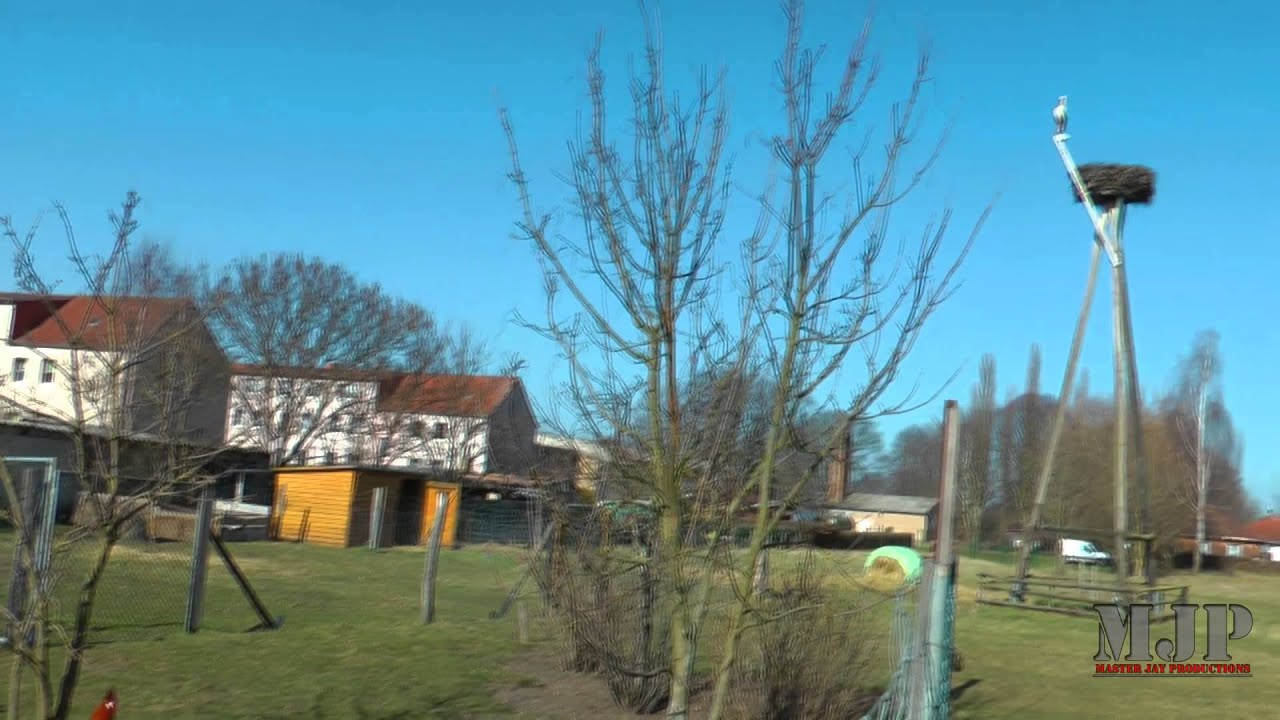 Der Storchenhof Loburg - Impressionen