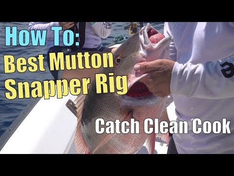 How To: Best Fishing Rig to Catch MONSTER Mutton Snapper off