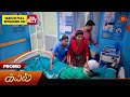 Kayal - Promo | 02 February 2024  | Tamil Serial | Sun TV image