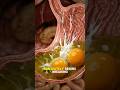 What Happen When You Swallow RAW EGG #shorts #humanbody #digestivesystem