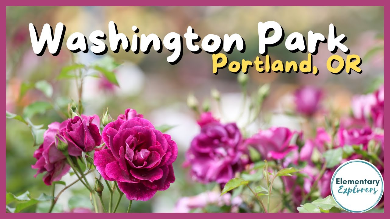 Portland International Rose Test Garden World Forestry Center