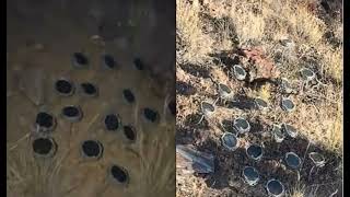 'Mystery Solved': Real Reason Hundreds of Solar Speakers Were Planted on Mount Shasta Is Revealed