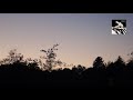 バレエの情景シベリウス