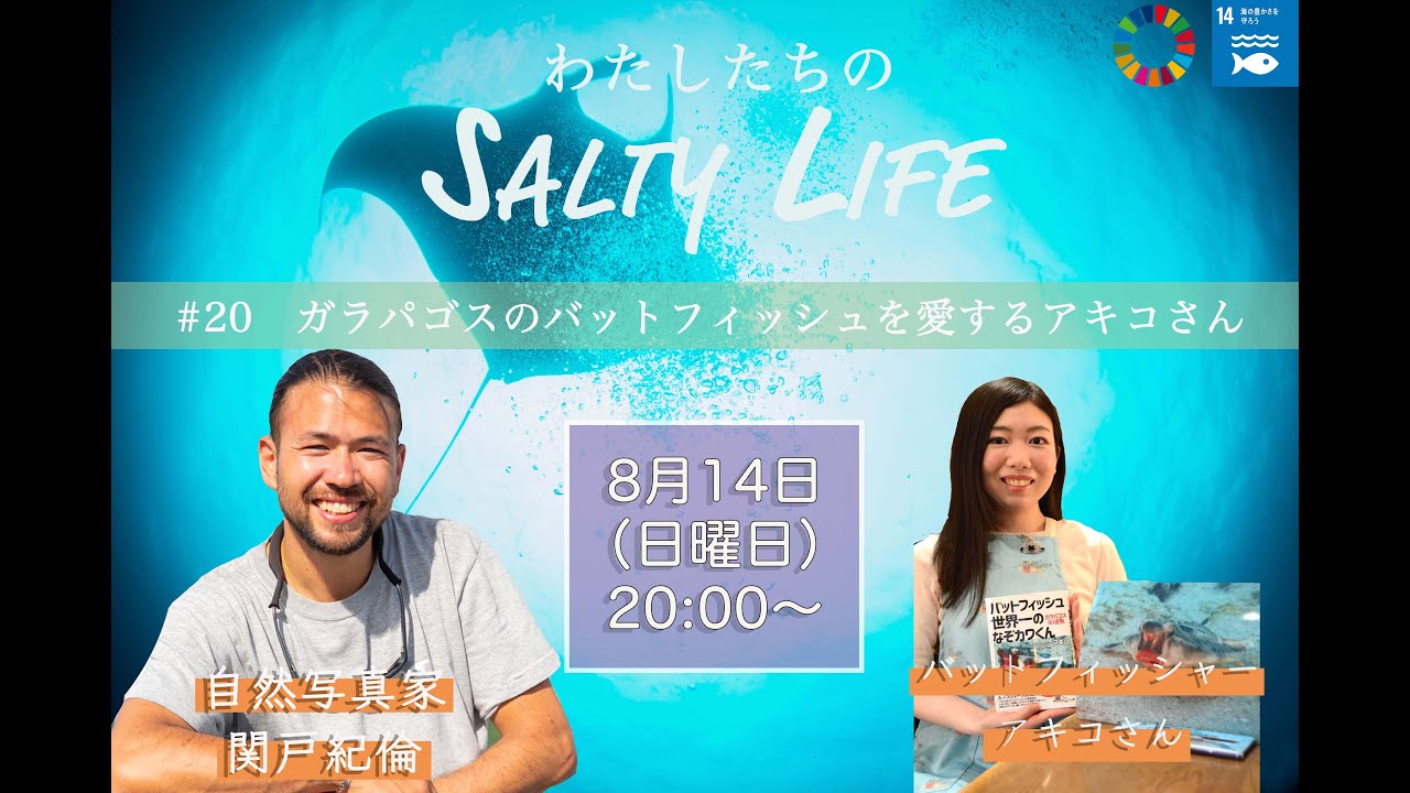 ライブ配信 わたしたちのsalty Life ガラパゴスのバットフィッシュを愛するアキコさん Youtube