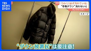 「必ず汚れています」冬物ダウン洗わず保管はNG！実は…雨、汗、食べこぼしまみれ？洗わないとカビが…6割以上が「習慣的に洗わない」ダウンの汚れとは？｜TBS NEWS DIG