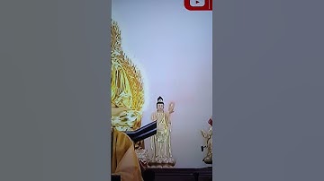 Cảnh nổi bật từ buổi phát trực tiếp