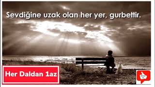 Nerden bileceksiniz şiir hali