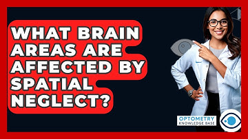 What Brain Areas Are Affected By Spatial Neglect? - Optometry Knowledge Base
