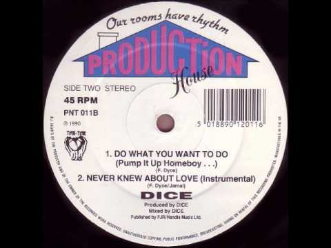 Floyd Dyce — Dice - Do What You Want To Do (Pump It Up Homeboy).wmv