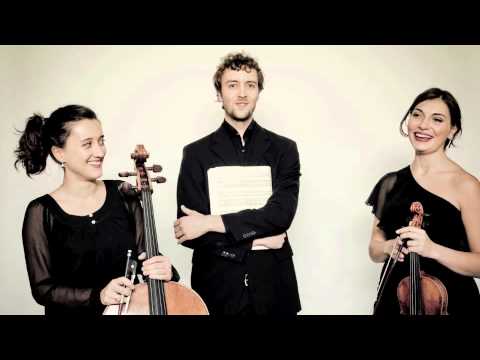 Trio Korngold plays Ravel Piano Trio in a minor: IV. Final