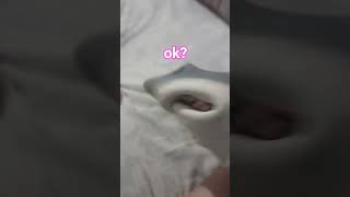 XD103 meg puppet de lmqp